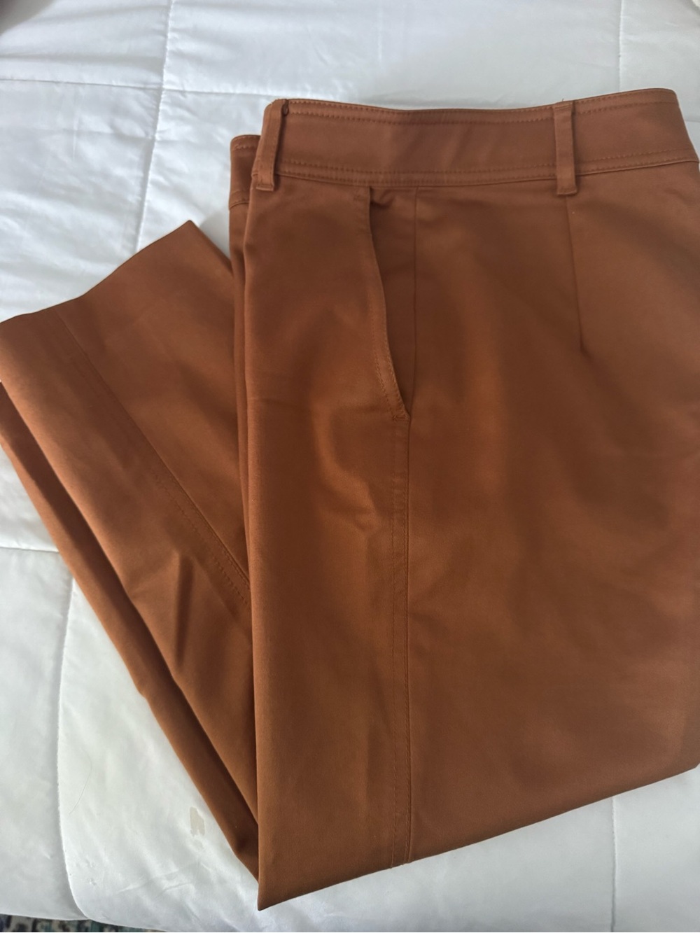 Club Monaco Cropped Ankle Pants in Rust Brown